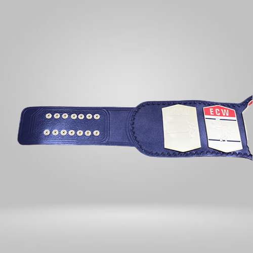 1st ECW Tag Team Wrestling Championship Replica Belt