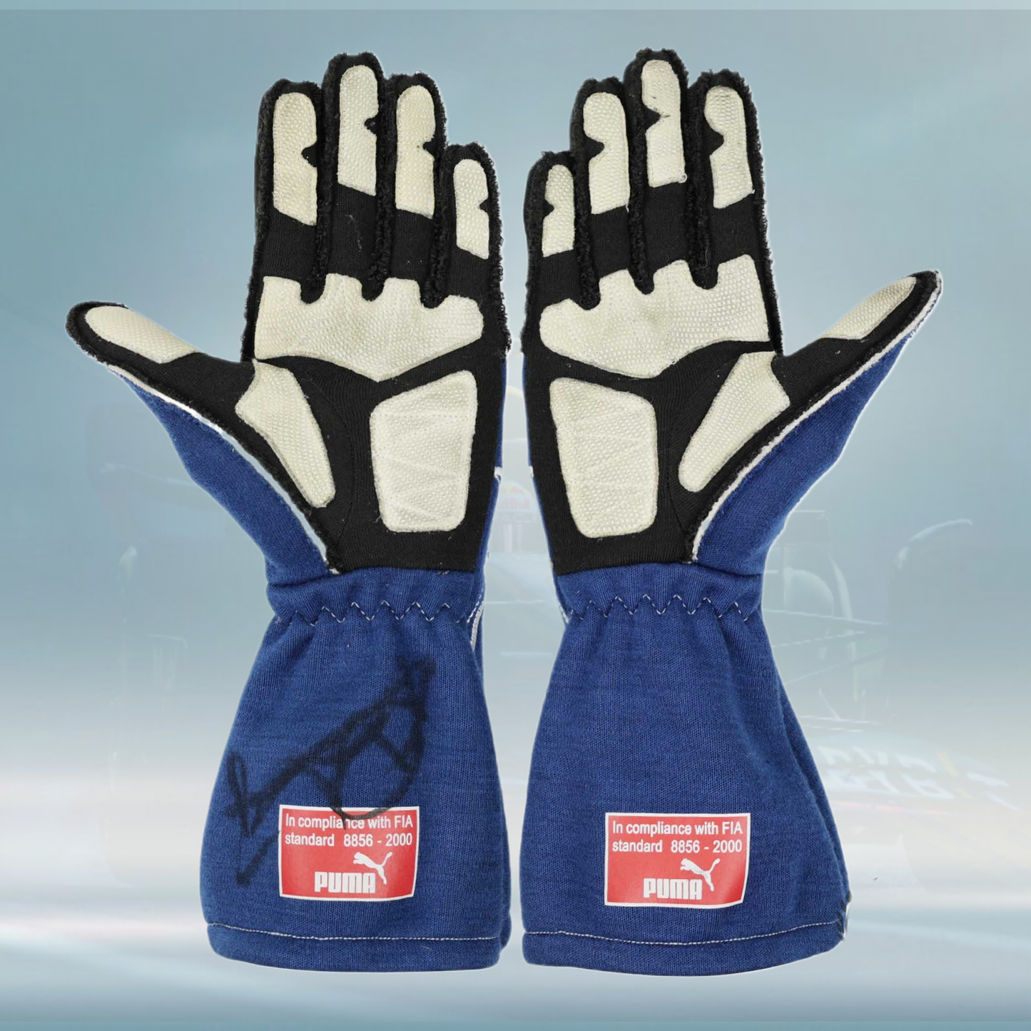 2007 Nico Rosberg Williams F1 Gloves - Rental Sports