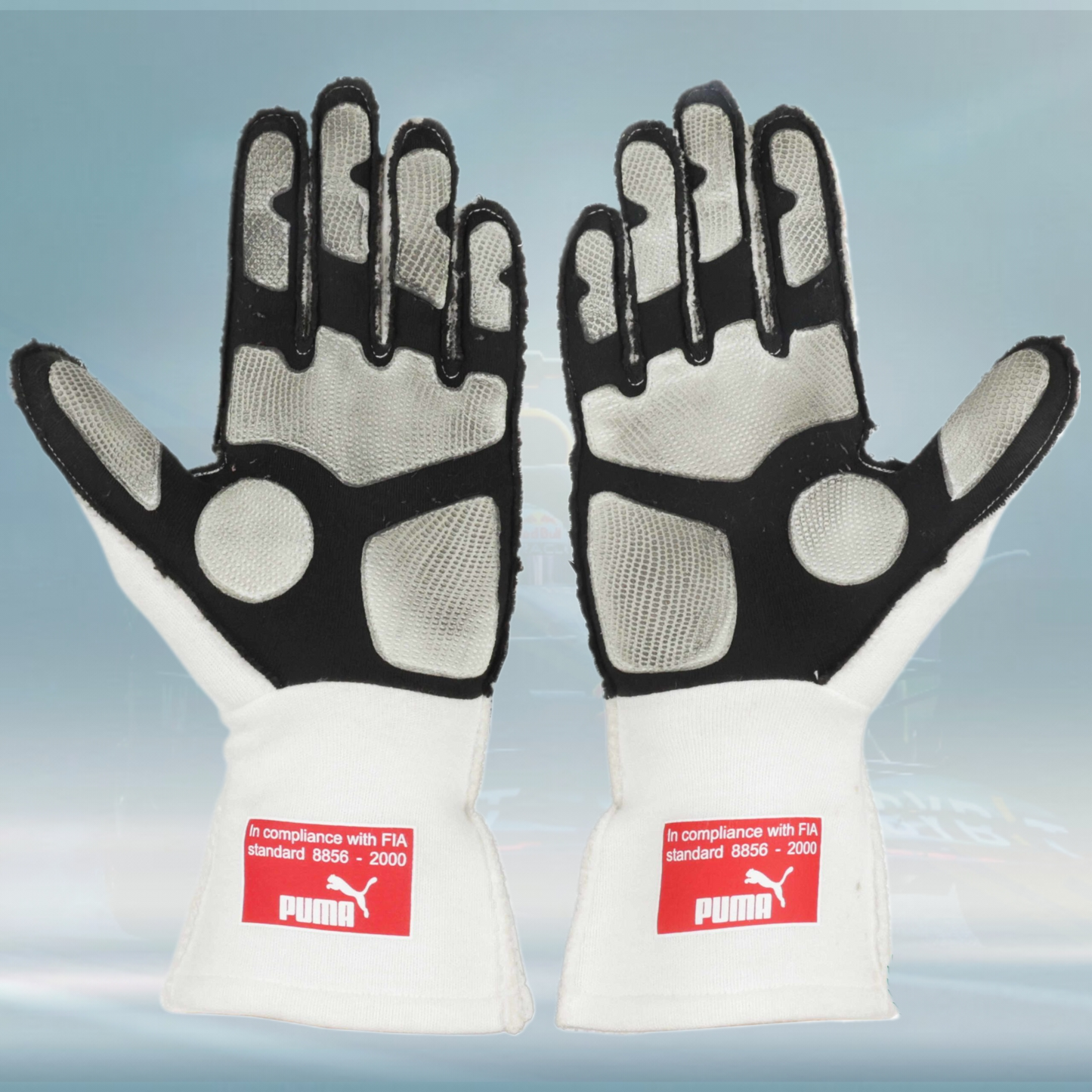 2010 Fernando Alonso Race Japanese GP Scuderia Ferrari F1 Gloves - Rental Sports