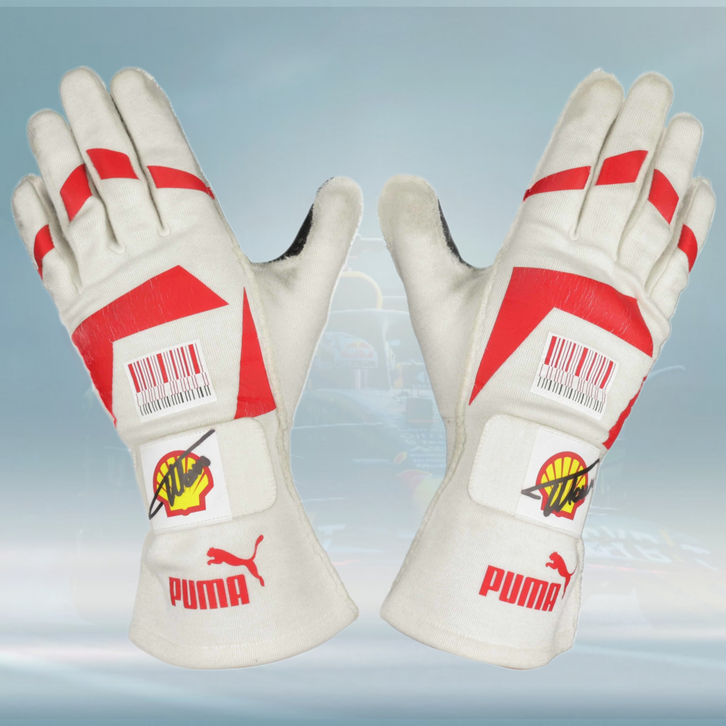 2010 Fernando Alonso Race Japanese GP Scuderia Ferrari F1 Gloves - Rental Sports