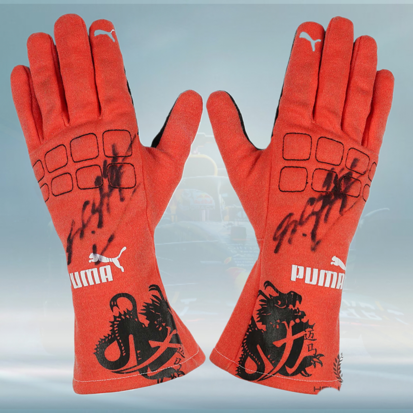 2012 Michael Schumacher Race Mercedes F1 Gloves - Rental Sports