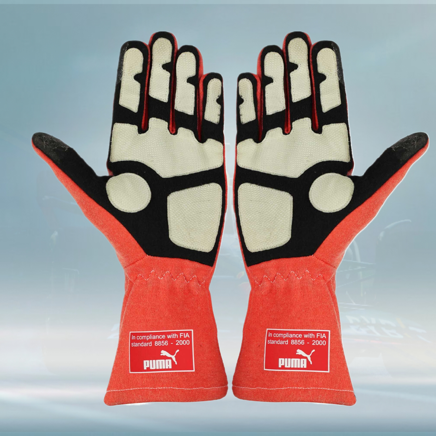 2012 Michael Schumacher Race Mercedes F1 Gloves - Rental Sports