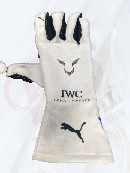 2019 Mercedes AMG F1 team Lewis Hamilton Race gloves - Rental Sports