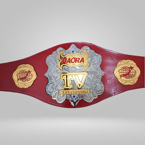 All Japan Pro Wrestling GAORA TV Title Champion Belt Seiya Dupree
