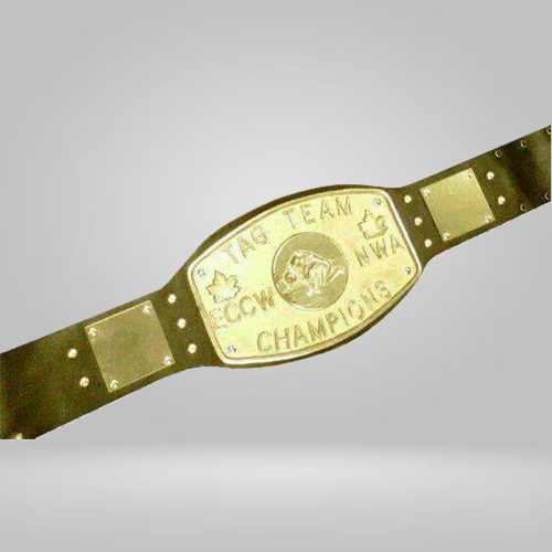 ECCW NWA Tag Team Wrestling Champion Belt Elite Canadian Championship Wrestling