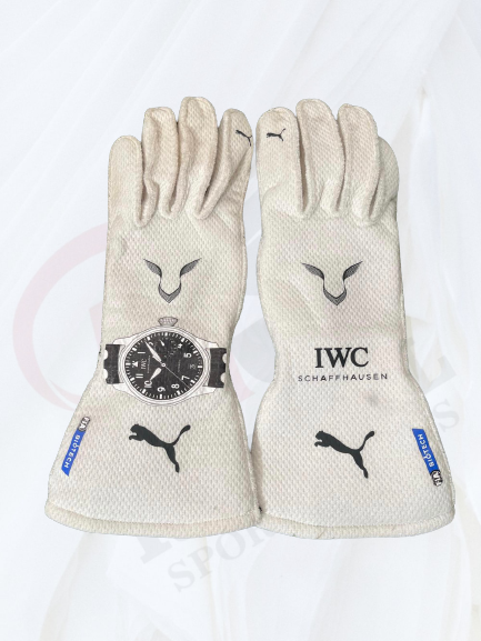 2020 Lewis Hamilton Gloves - Rental Sports