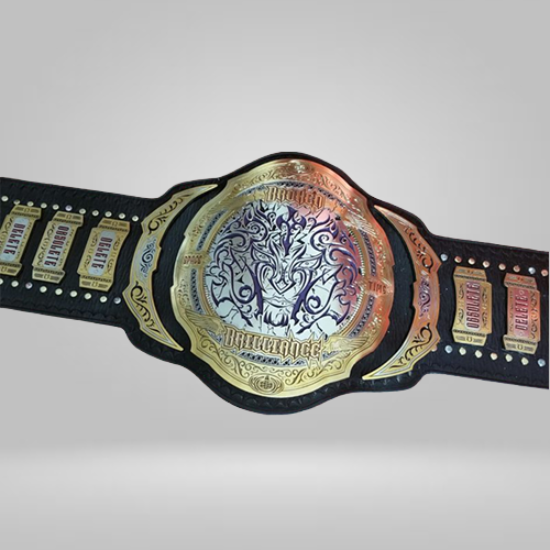 Matt and Jeff Hardy Broken Tag Team Wrestling Championship Belts