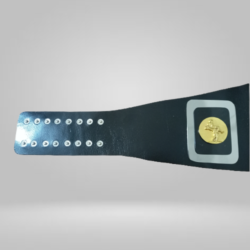 Mike Jackson AWA Championship Alabama jr. Heavyweight Title Champion Belt NWA