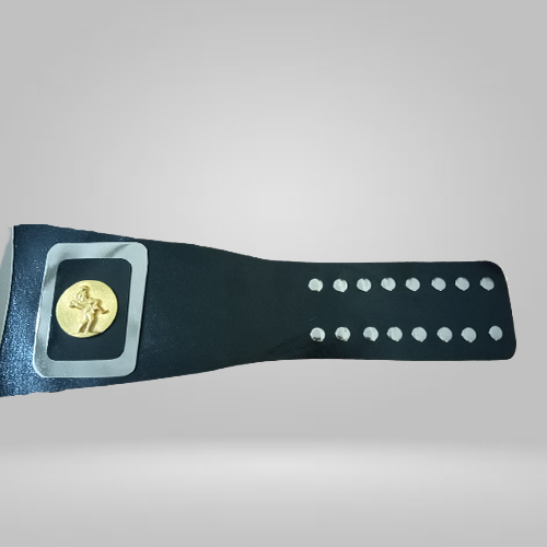 Mike Jackson AWA Championship Alabama jr. Heavyweight Title Champion Belt NWA