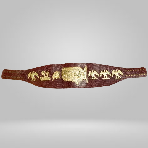 NWA Mid-Atlanti USA Heavyweight Wrestling Title Champion Belt Bob Backlund