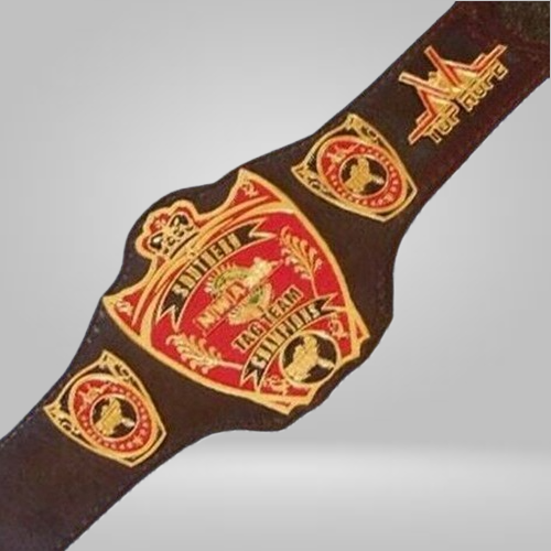 NWA Southern Tag Team Champion Belt Old Championship USA Top