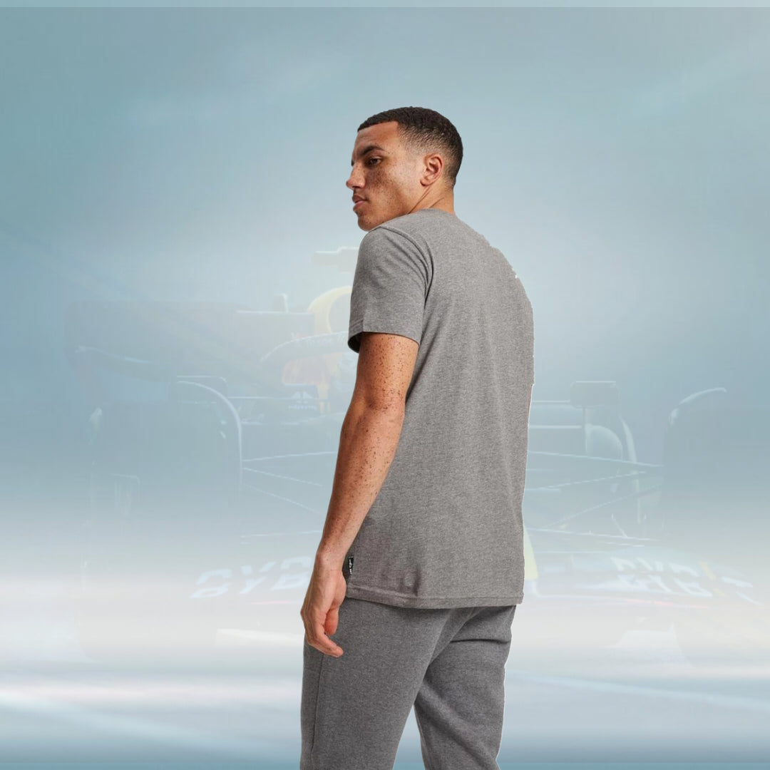Dakar DKR D 0823 Mens T-shirt grey - Rental Sports