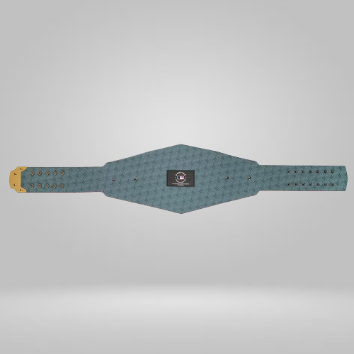 Boston Red Sox WWE Legacy Title Belt