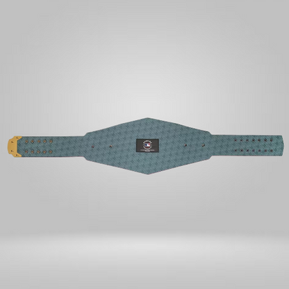 Boston Red Sox WWE Legacy Title Belt