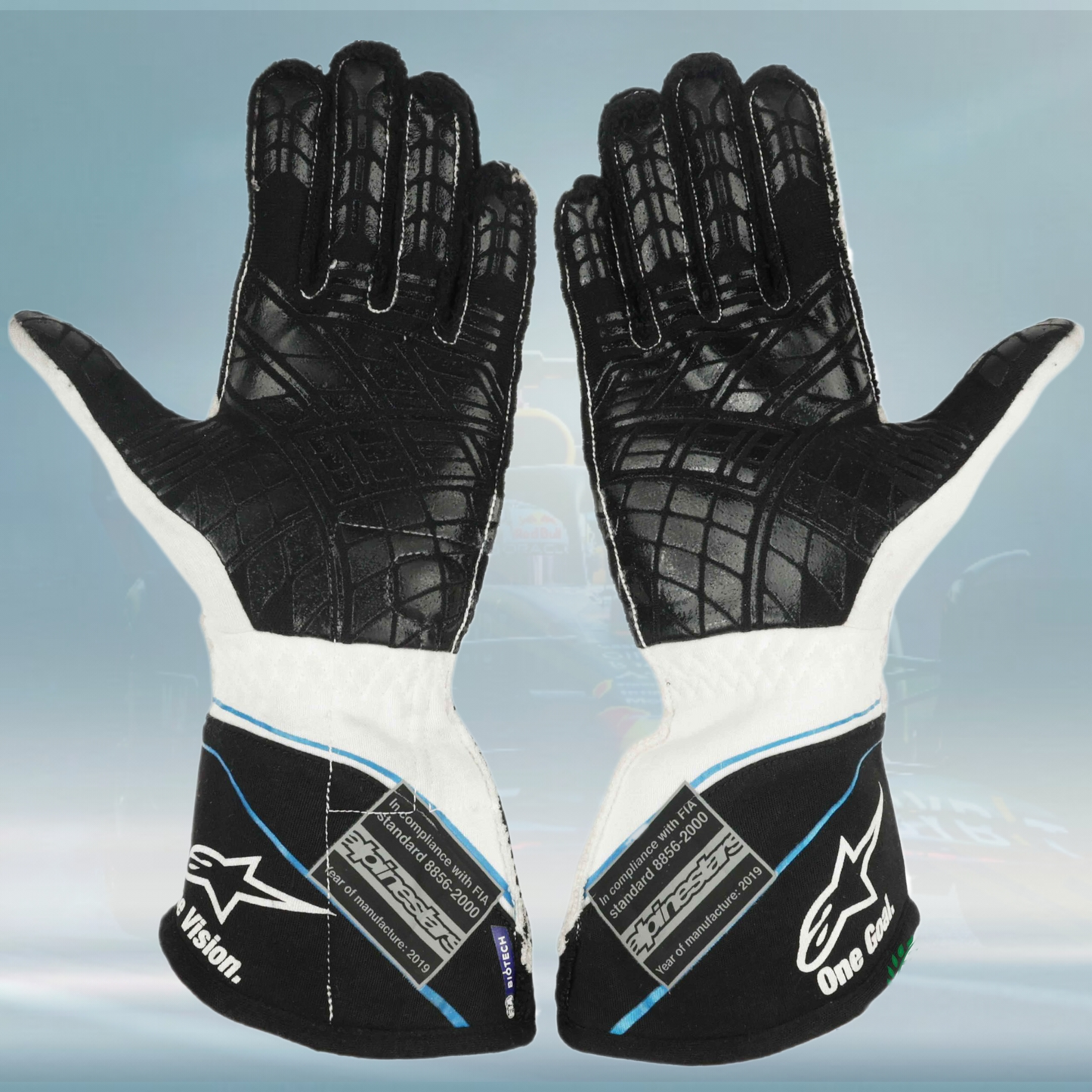 2019 George Russell Williams Mercedes F1 Gloves