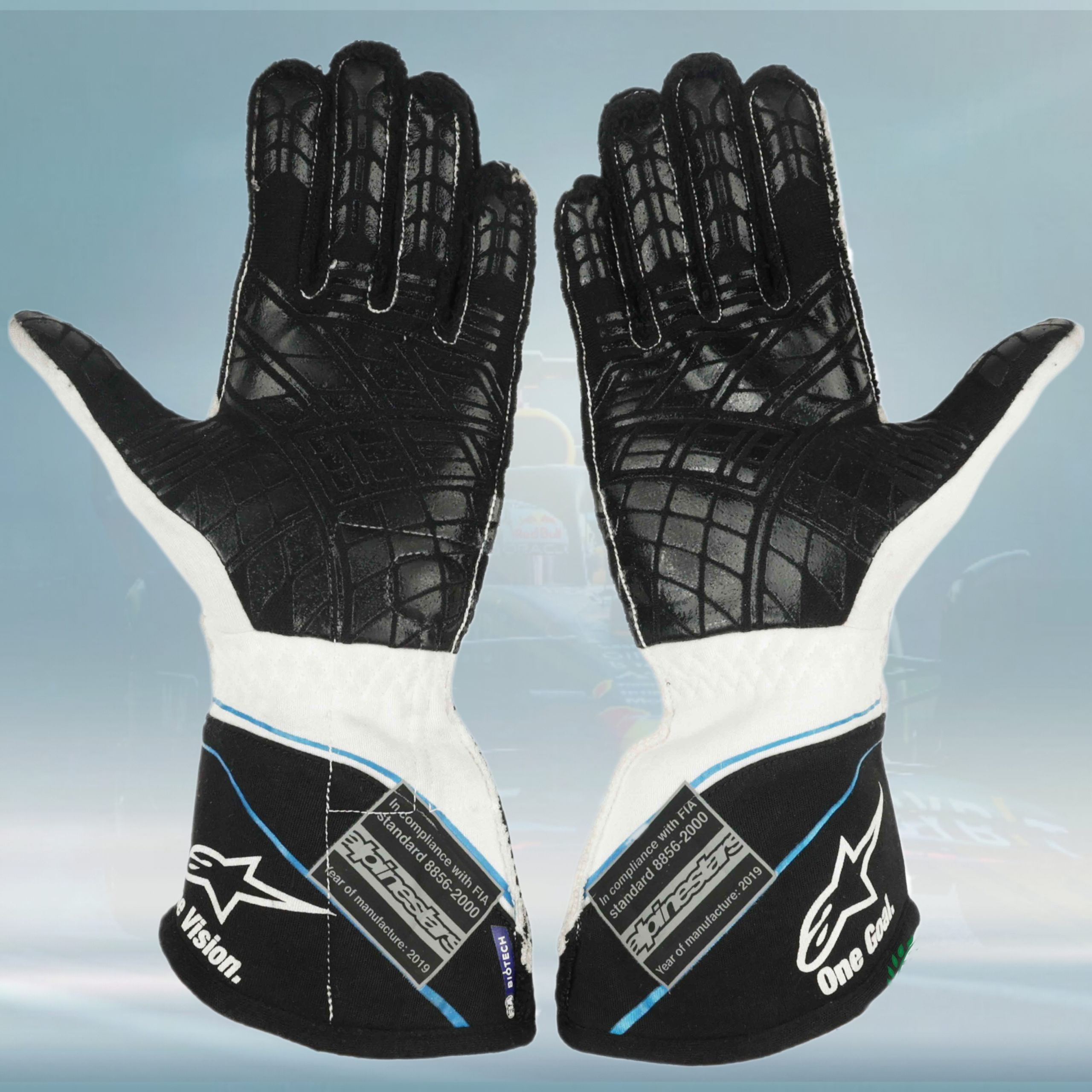 2019 George Russell Williams Mercedes F1 Gloves