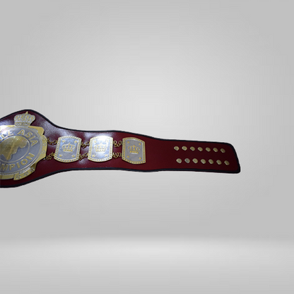 ALL Asia Wrestling Championship Belt