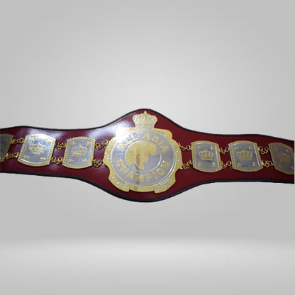 ALL Asia Wrestling Championship Belt