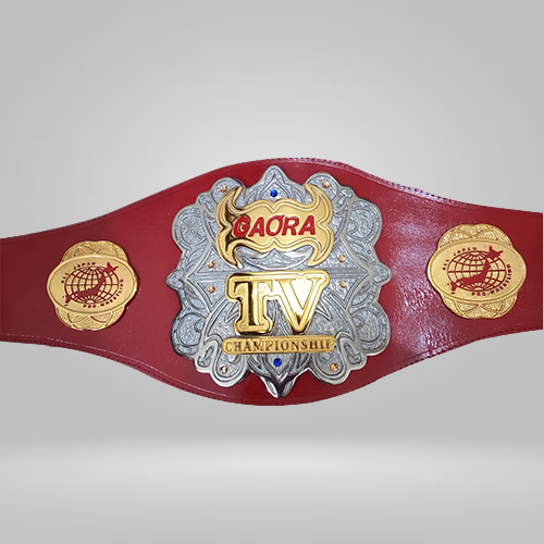 All Japan Pro Wrestling GAORA TV Title Champion Belt Seiya Dupree Sushi Shuji - Rental Sports