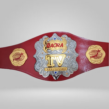 All Japan Pro Wrestling GAORA TV Title Champion Belt Seiya Dupree Sushi Shuji