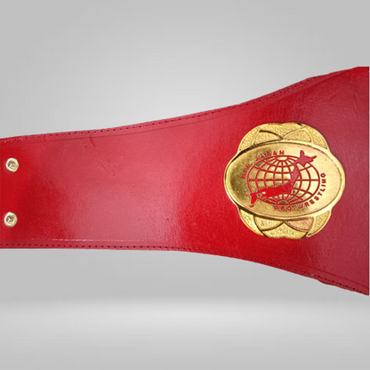 All Japan Pro Wrestling GAORA TV Title Champion Belt Seiya Dupree Sushi Shuji