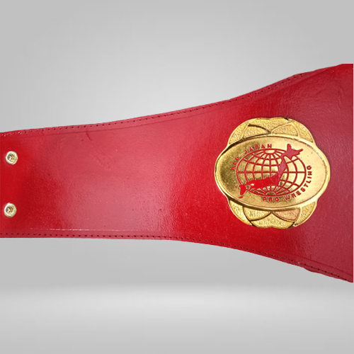 All Japan Pro Wrestling GAORA TV Title Champion Belt Seiya