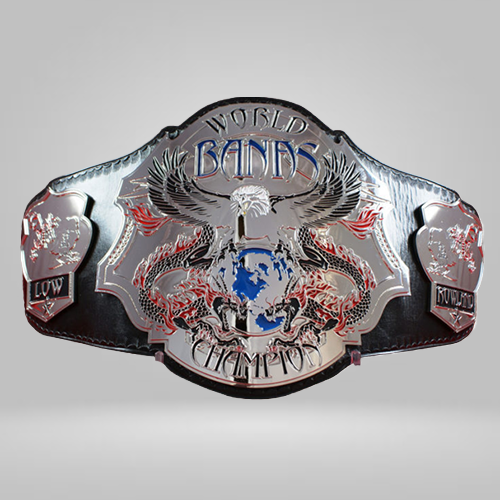 Banas Wrestling Champion Belt