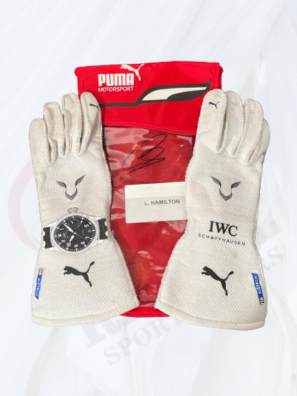 2020 Lewis Hamilton Gloves