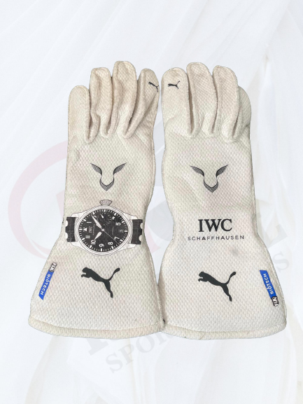 2020 Lewis Hamilton Gloves