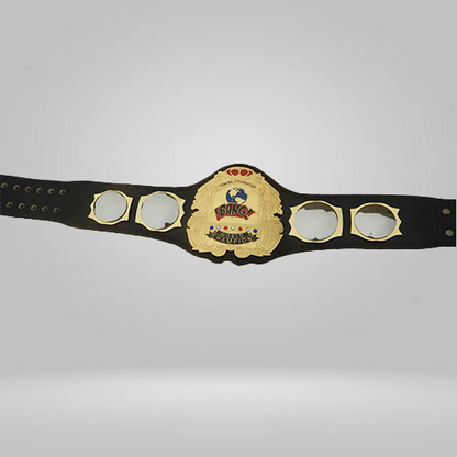 Funking Conservatory Bang Heavyweight Championship Belt Dory Funk Jr’s wrestling