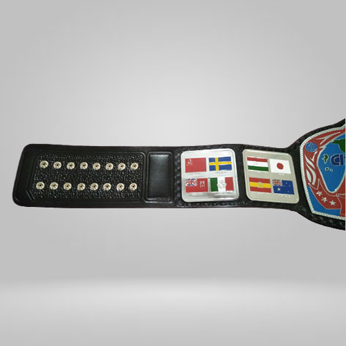 Georgia Television Championship Replica Belt