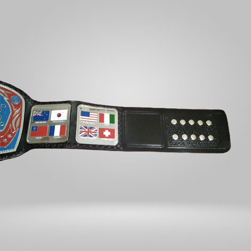 Georgia Television Championship Replica Belt