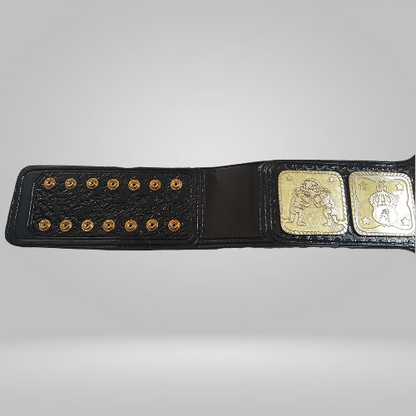 AWA WORLD HEAVYWEIGHT WRESTLING CHAMPIONSHIP BELT - Rental Sports