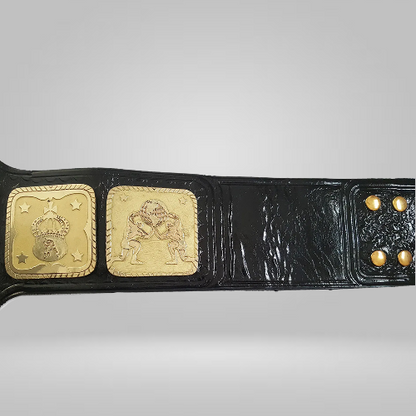 AWA WORLD HEAVYWEIGHT WRESTLING CHAMPIONSHIP BELT - Rental Sports