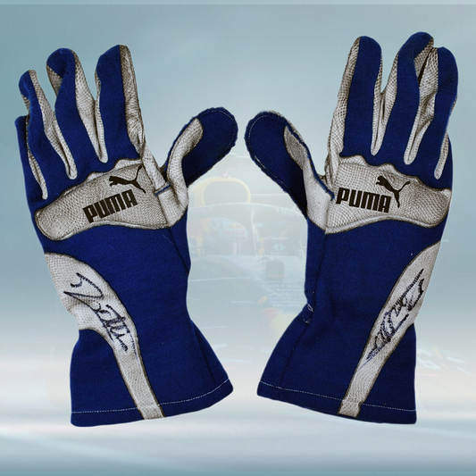 2005 Jacques Villeneuve Sauber Test F1 Gloves