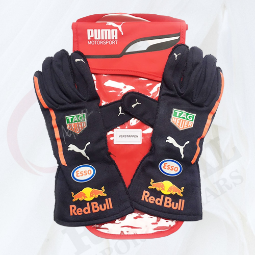 Max Verstappen 2018 F1 Gloves