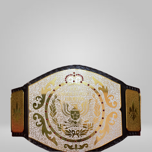 NEW Replica WWF Junior Wrestling Championship Belt