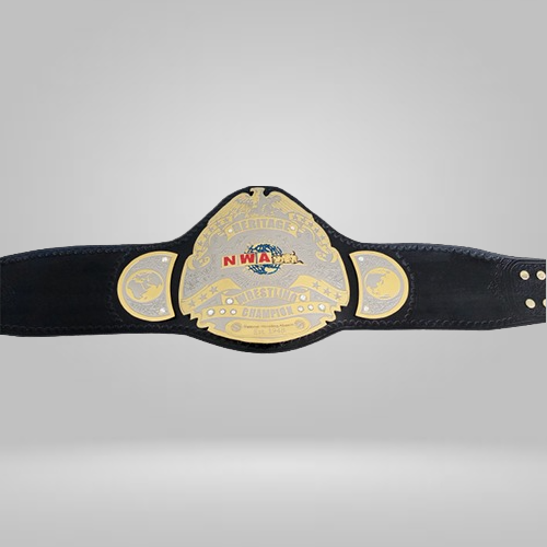 NWA Heritage title Wrestling Champion Belt Heavyweight Sean Waltman X-Pac TJP - Rental Sports