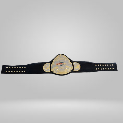 NWA Heritage title Wrestling Champion Belt Heavyweight Sean Waltman X-Pac TJP - Rental Sports