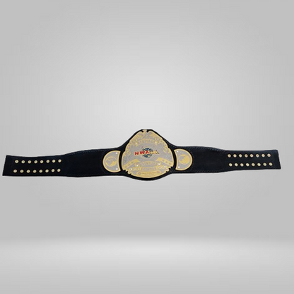 NWA Heritage title Wrestling Champion Belt Heavyweight Sean Waltman X-Pac TJP - Rental Sports