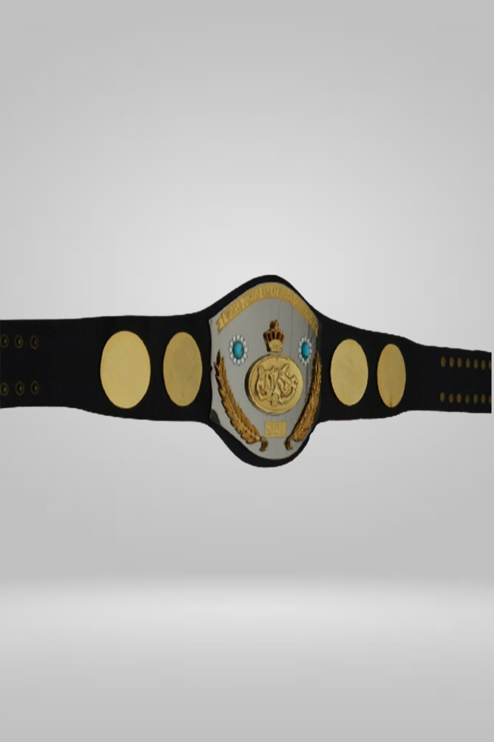 NWA Jr. World International Junior Heavyweight Wrestling Champion Belt