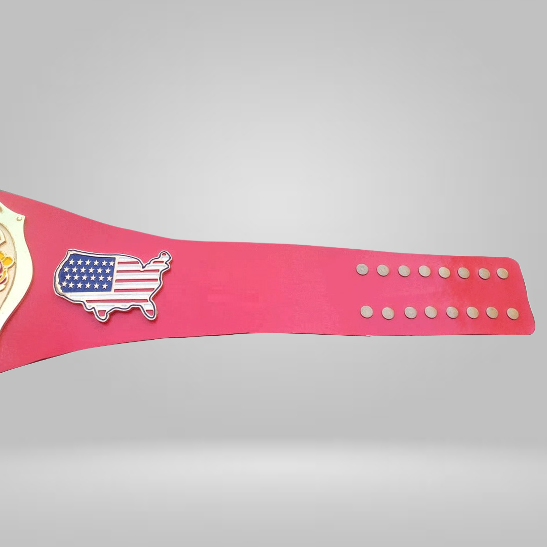 NWA Continental USA Heavyweight Wrestling Champion Belt