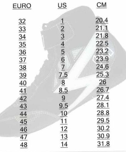 Sparco TOP MARTINI RACING Shoe (FIA homologation)