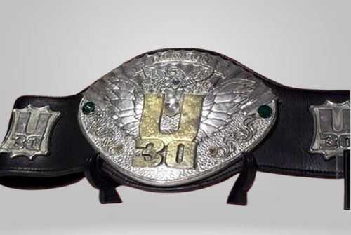 IWGP U-30 Openweight Championship Belt Openweight New Japan U 30 NJPW Old